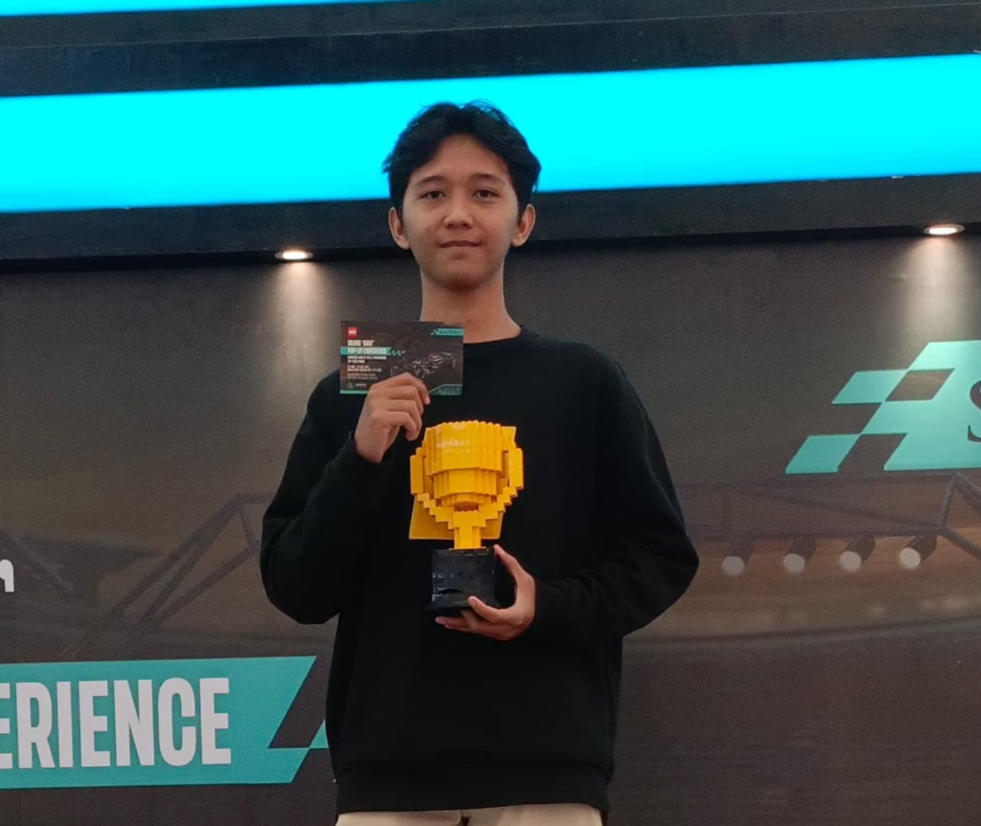 Mohammad Irfan Maulana